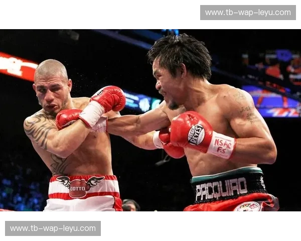 战神之约：帕奎奥vs阿尔吉里，拳台上的荣耀与传承